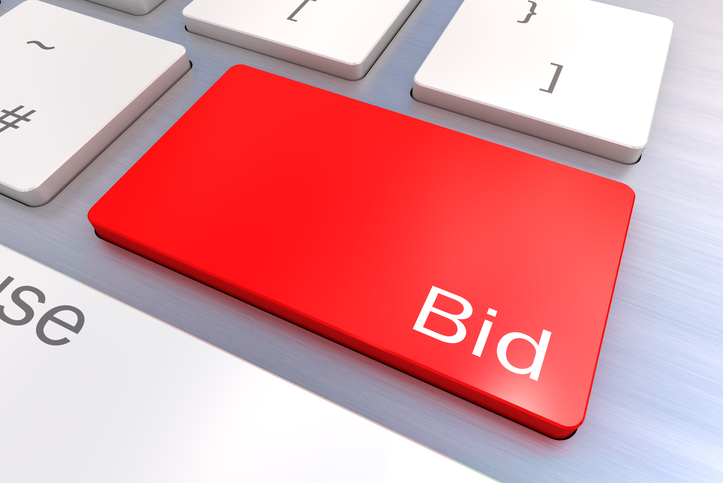 portfolio bid strategy