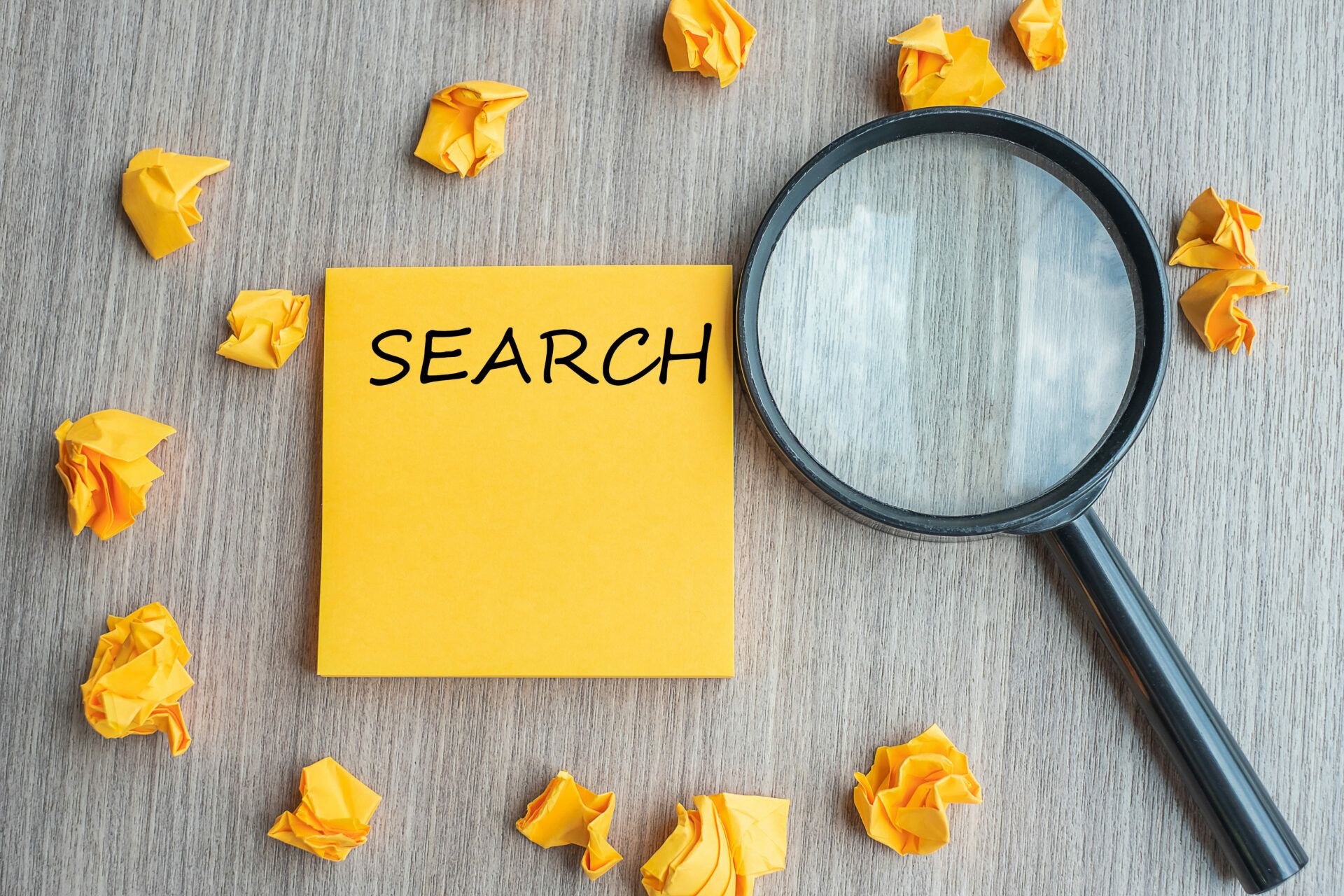 Search Intent